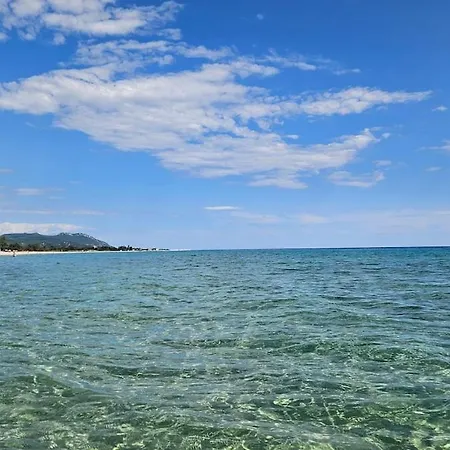 By The Sea And Mountain Vitamind
