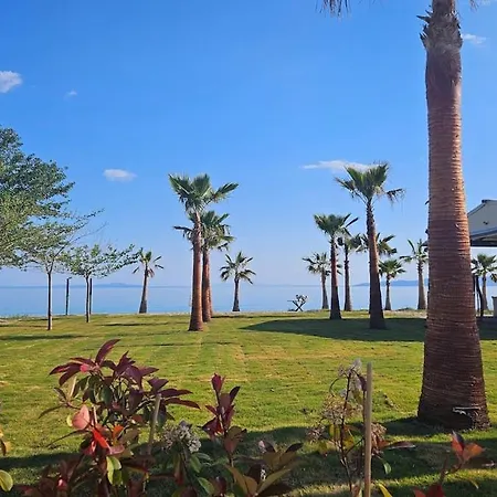 By The Sea And Mountain Vitamind Appartement